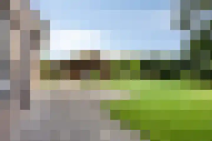 Pastoor Thijssenlaan 24 Sterksel thumbnail 69