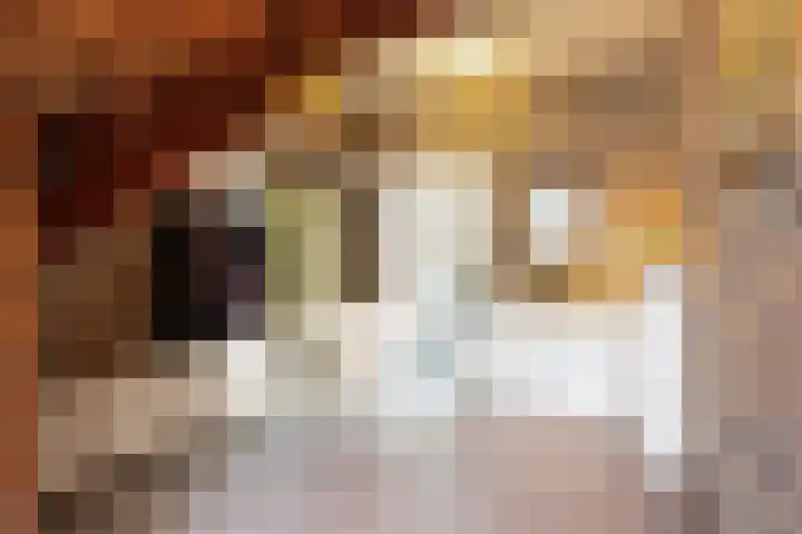 Pastoor Thijssenlaan 24 Sterksel thumbnail 7