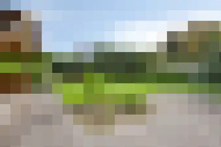 Pastoor Thijssenlaan 24 Sterksel thumbnail 70