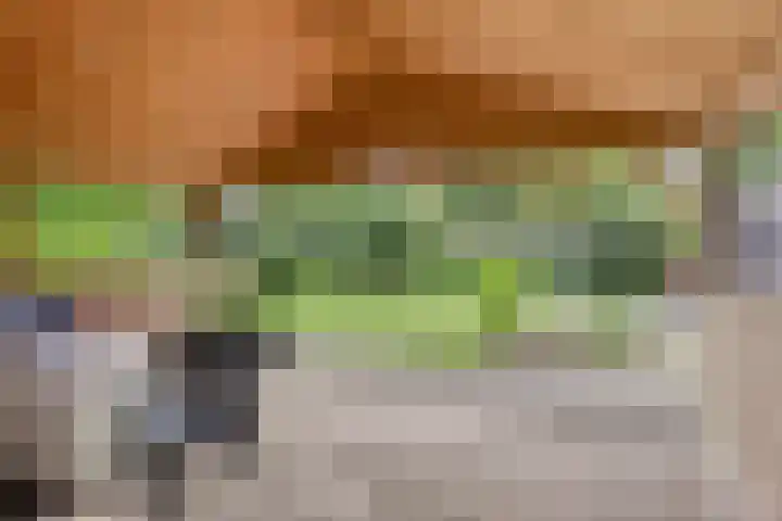 Pastoor Thijssenlaan 24 Sterksel thumbnail 72