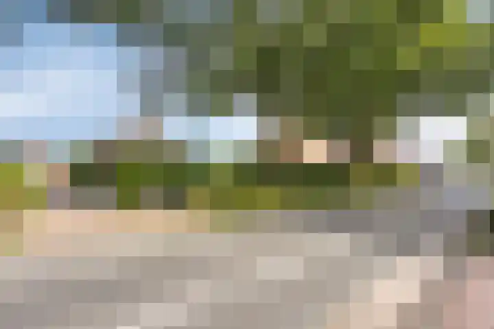 Pastoor Thijssenlaan 24 Sterksel thumbnail 73