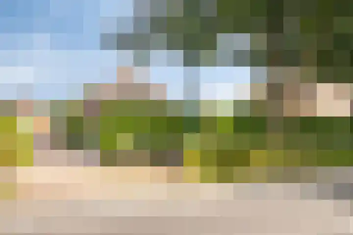 Pastoor Thijssenlaan 24 Sterksel thumbnail 74