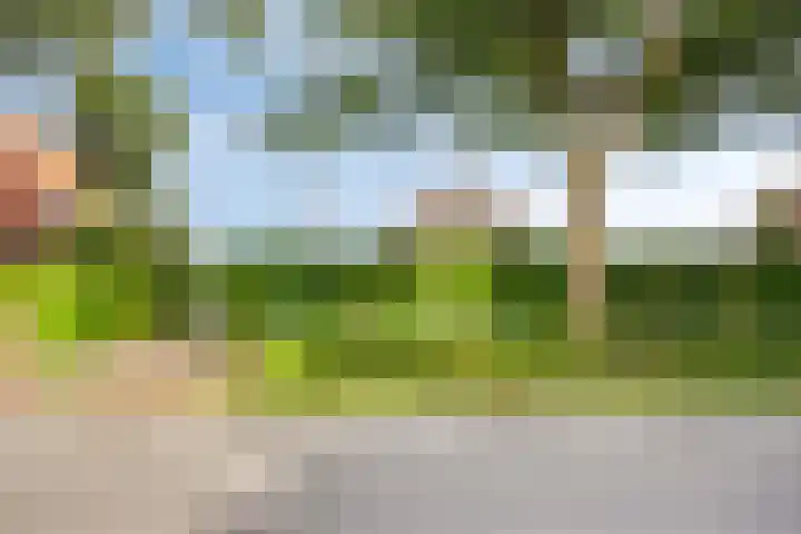 Pastoor Thijssenlaan 24 Sterksel thumbnail 75