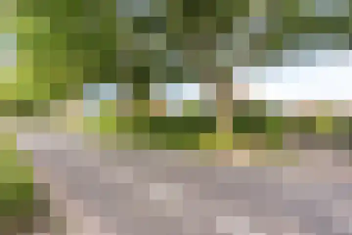 Pastoor Thijssenlaan 24 Sterksel thumbnail 76