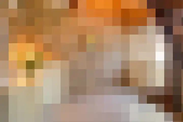 Pastoor Thijssenlaan 24 Sterksel thumbnail 8