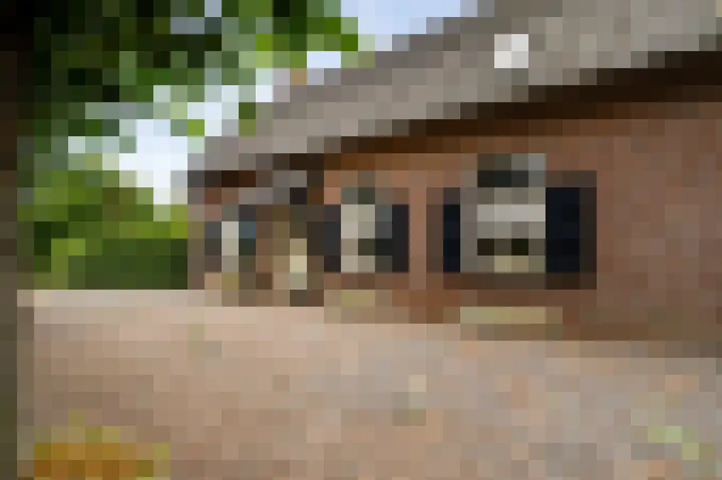 Pastoor Thijssenlaan 58 Sterksel thumbnail 11