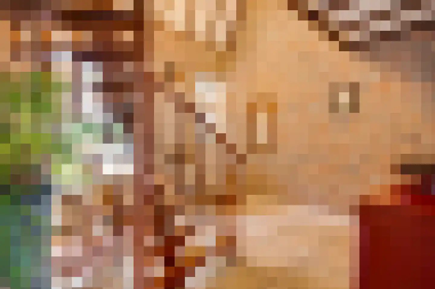 Pastoor Thijssenlaan 58 Sterksel thumbnail 13