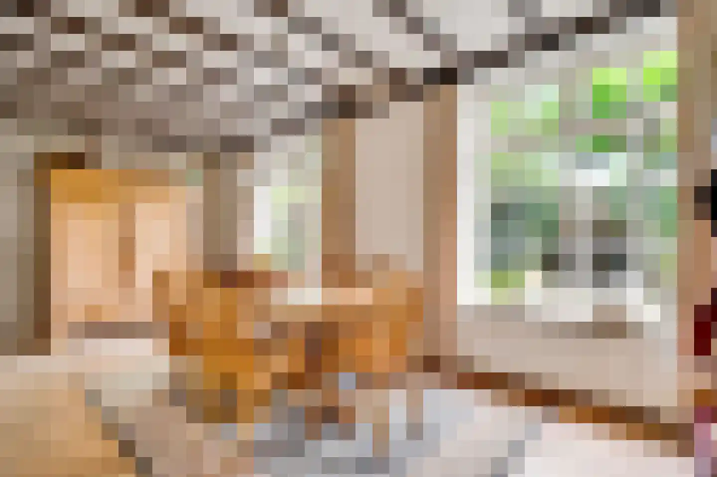 Pastoor Thijssenlaan 58 Sterksel thumbnail 15