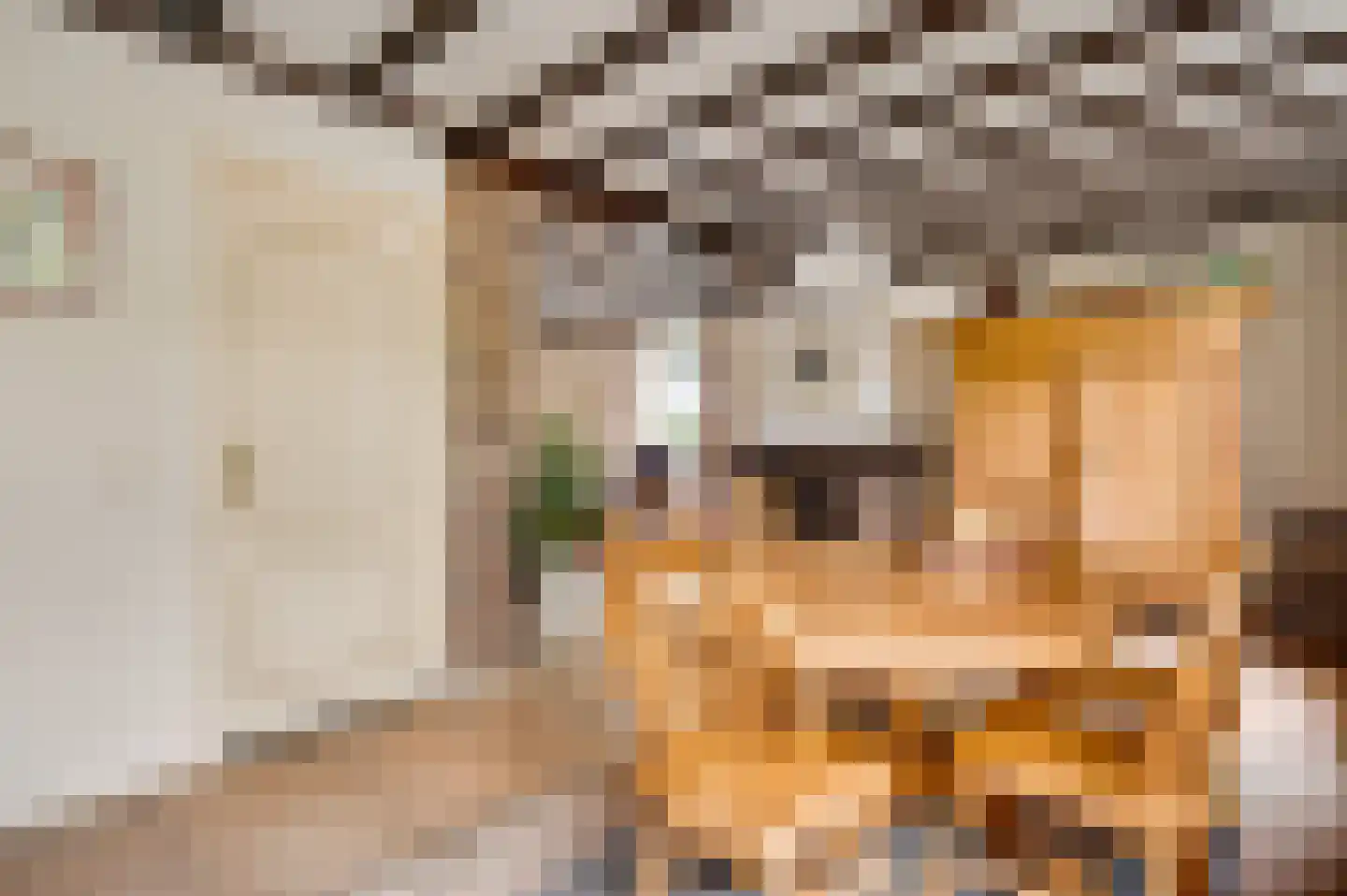 Pastoor Thijssenlaan 58 Sterksel thumbnail 16