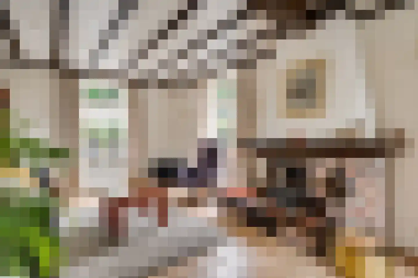 Pastoor Thijssenlaan 58 Sterksel thumbnail 19