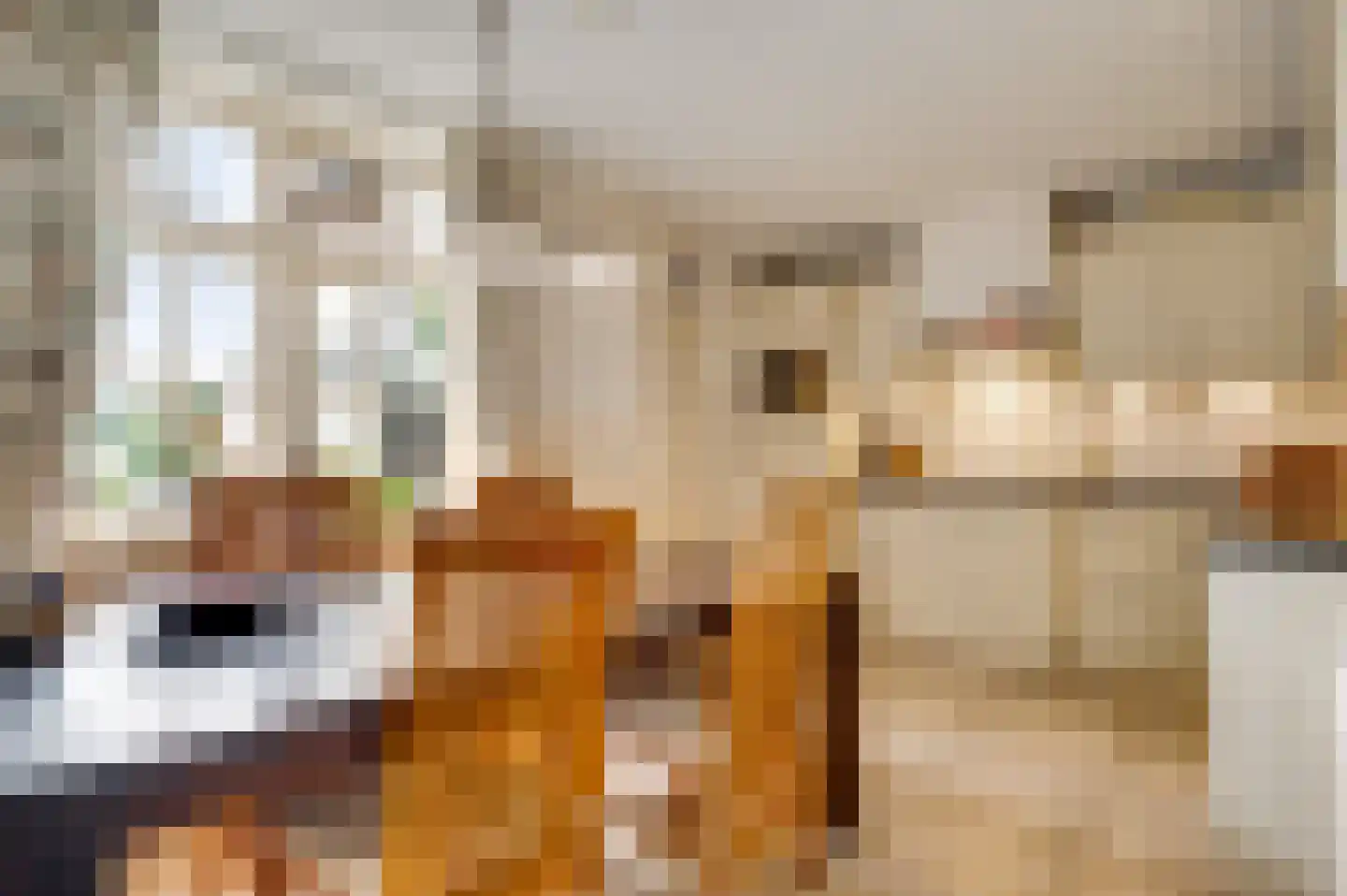 Pastoor Thijssenlaan 58 Sterksel thumbnail 21