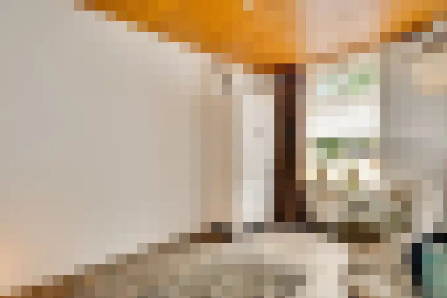Pastoor Thijssenlaan 58 Sterksel thumbnail 23