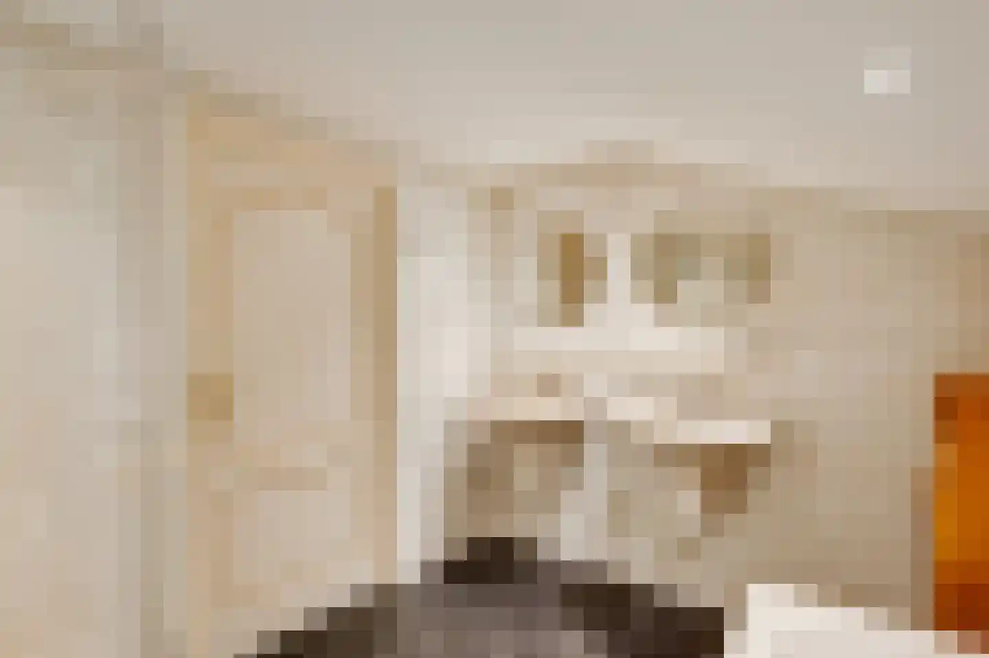 Pastoor Thijssenlaan 58 Sterksel thumbnail 27