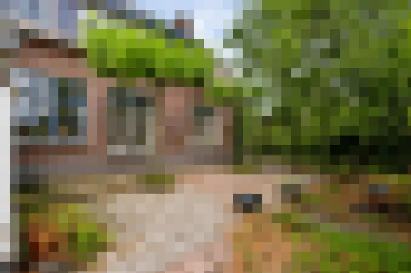Pastoor Thijssenlaan 58 Sterksel thumbnail 30