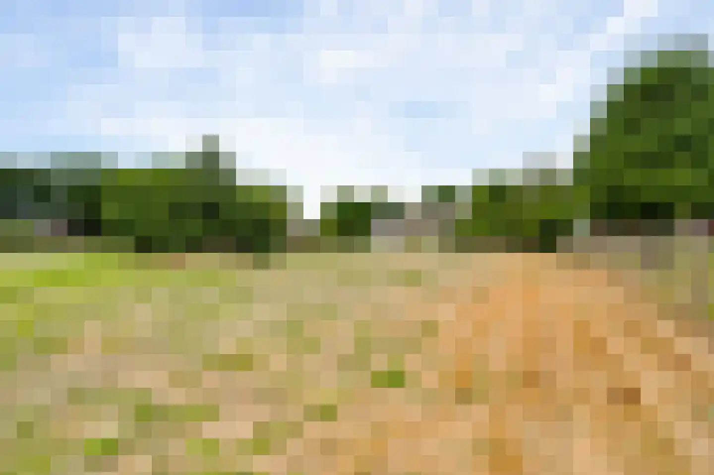 Pastoor Thijssenlaan 58 Sterksel thumbnail 35