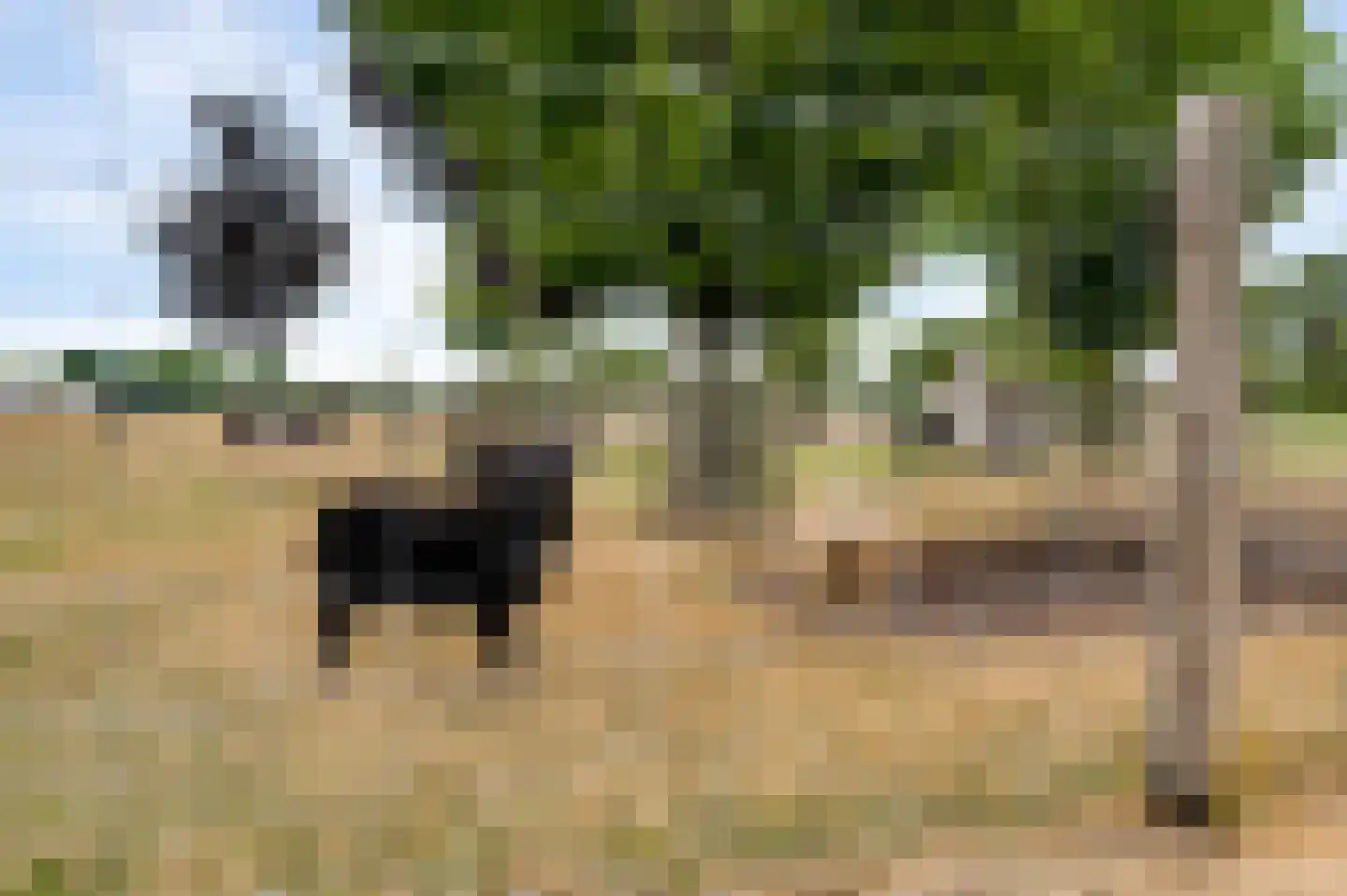 Pastoor Thijssenlaan 58 Sterksel thumbnail 36