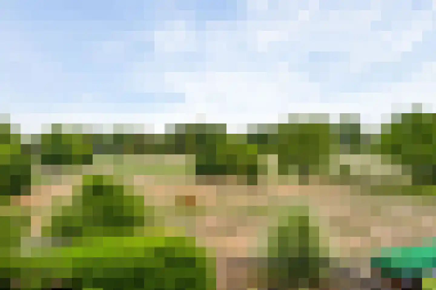 Pastoor Thijssenlaan 58 Sterksel thumbnail 37