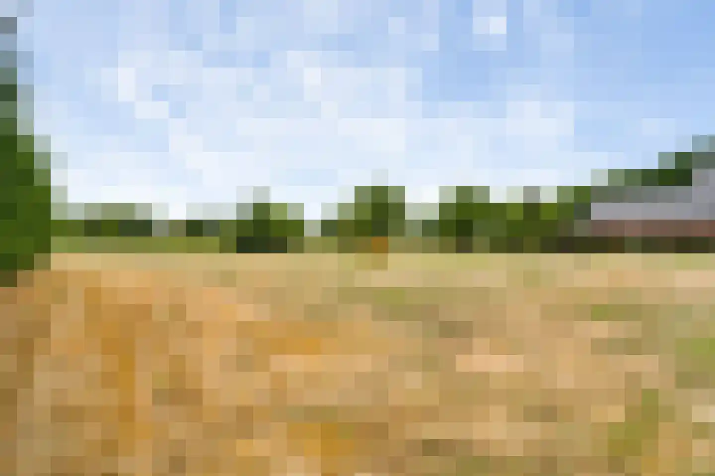 Pastoor Thijssenlaan 58 Sterksel thumbnail 38