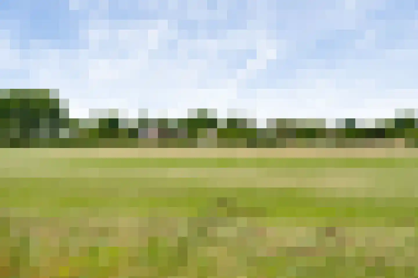 Pastoor Thijssenlaan 58 Sterksel thumbnail 39