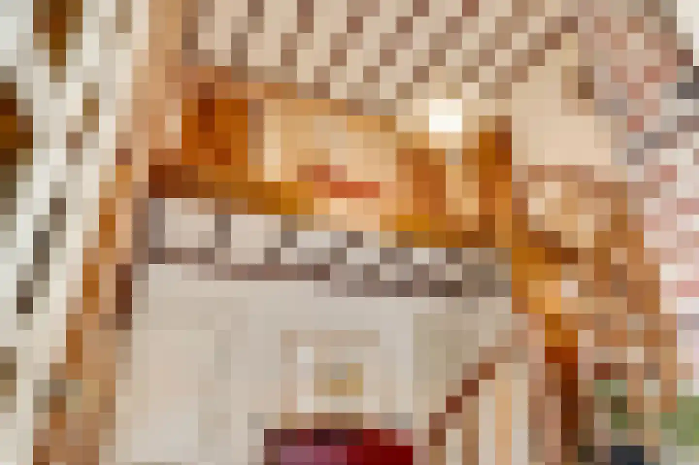 Pastoor Thijssenlaan 58 Sterksel thumbnail 4