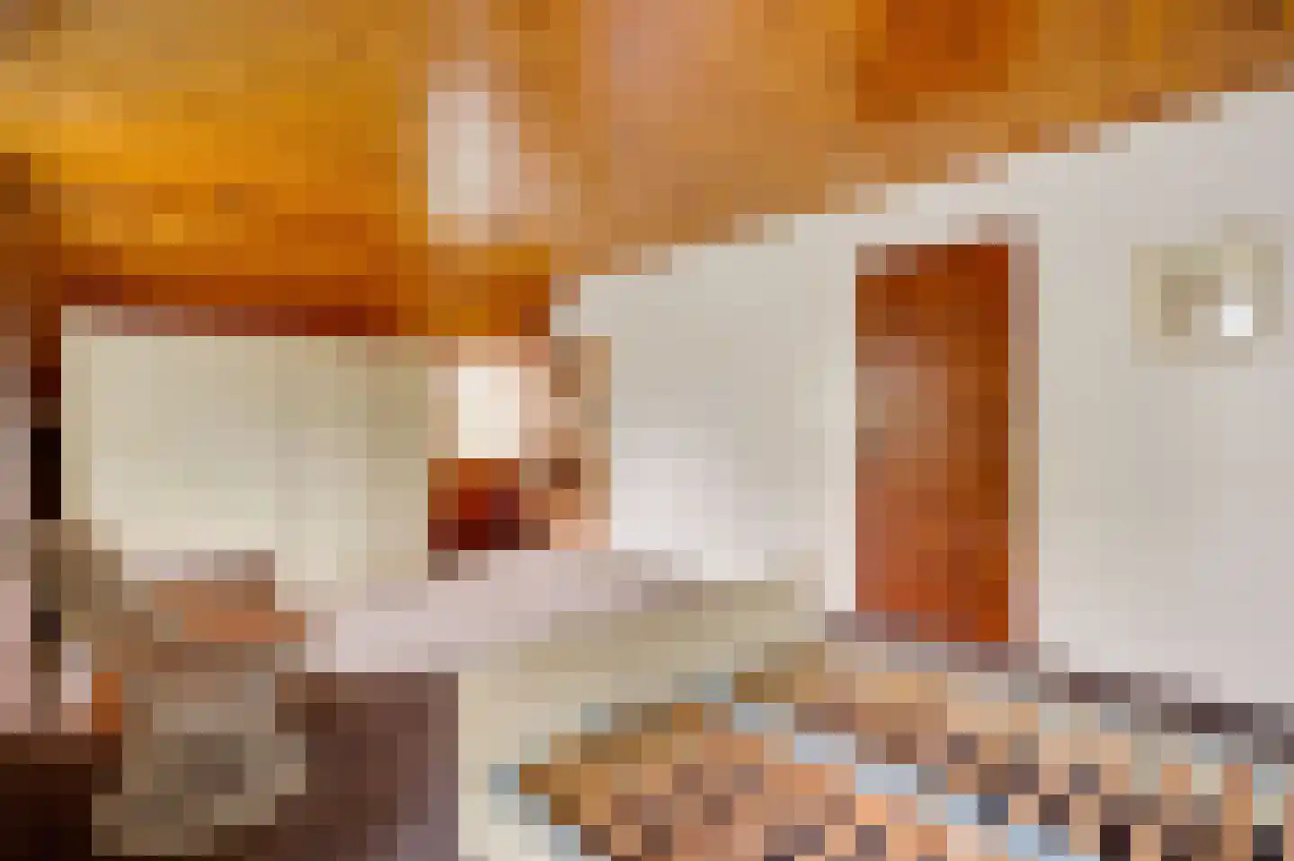 Pastoor Thijssenlaan 58 Sterksel thumbnail 44