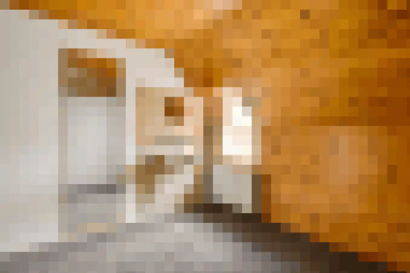 Pastoor Thijssenlaan 58 Sterksel thumbnail 46