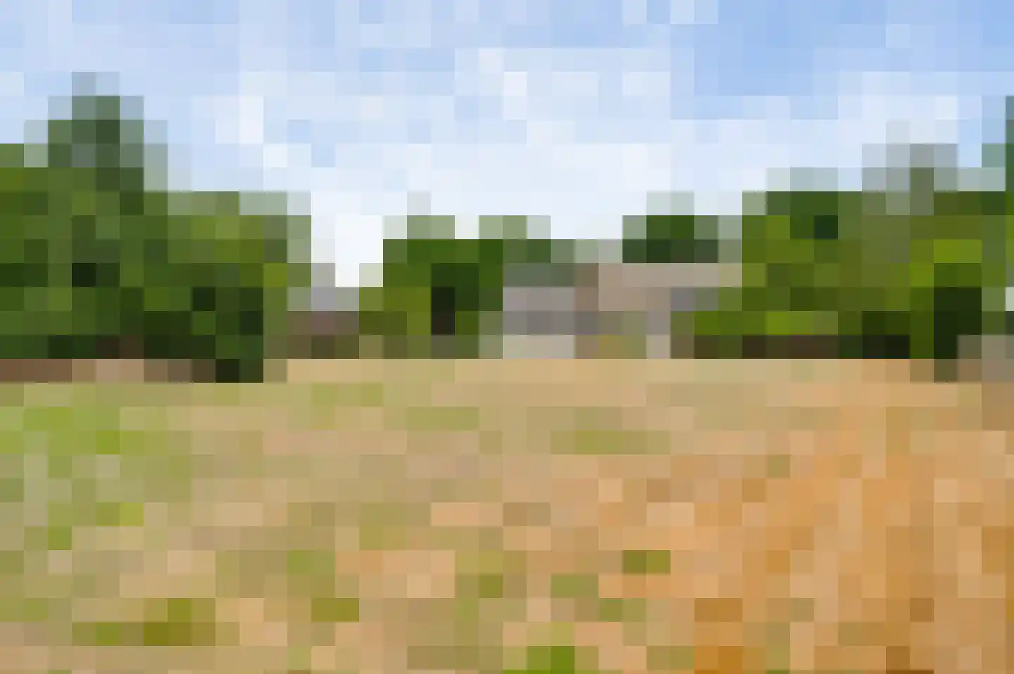 Pastoor Thijssenlaan 58 Sterksel thumbnail 5