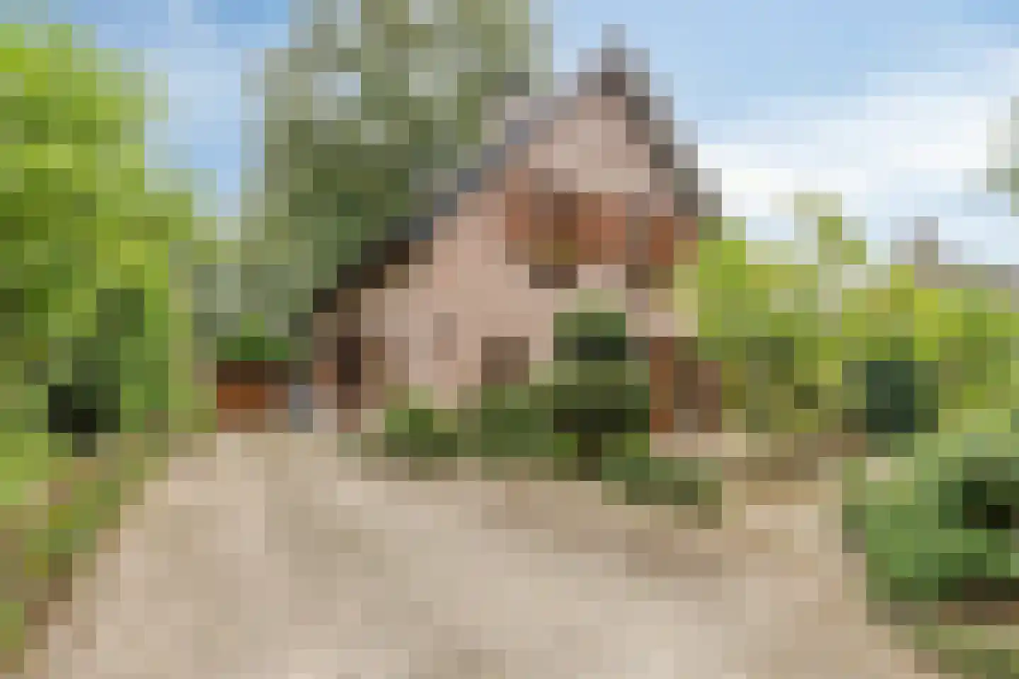 Pastoor Thijssenlaan 8 a in Sterksel