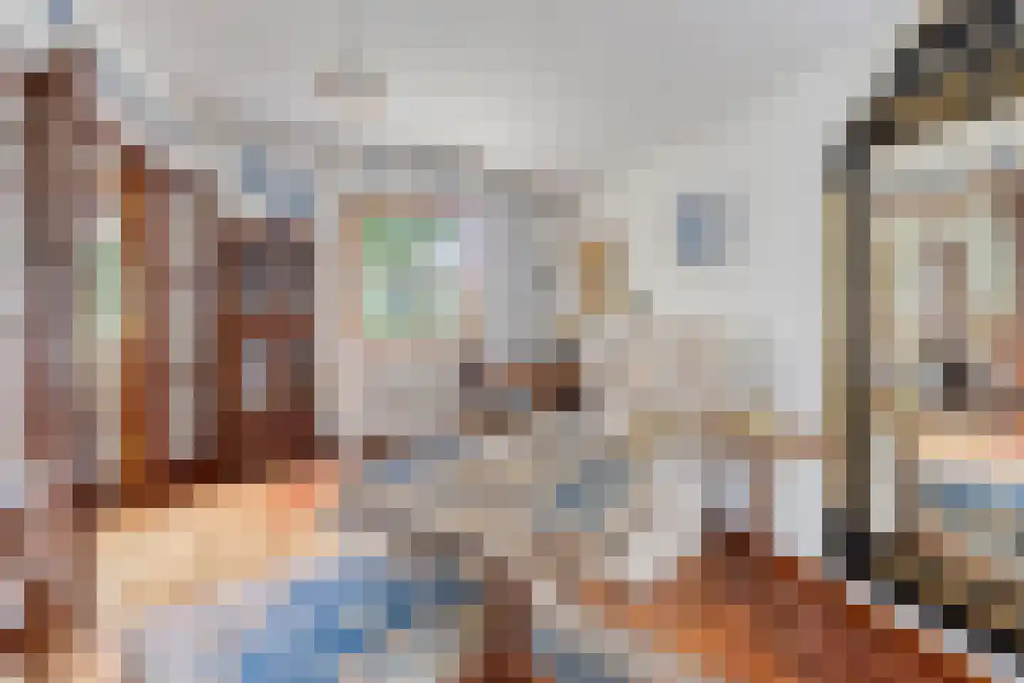 Pastoor Thijssenlaan 8 a Sterksel thumbnail 15