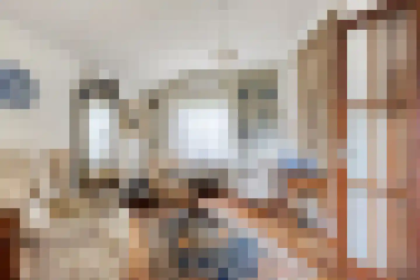 Pastoor Thijssenlaan 8 a Sterksel thumbnail 16