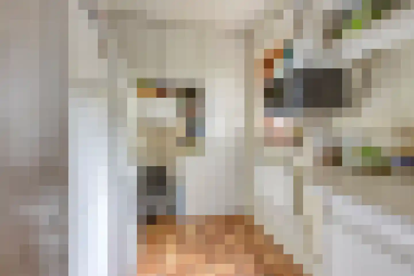 Pastoor Thijssenlaan 8 a Sterksel thumbnail 18
