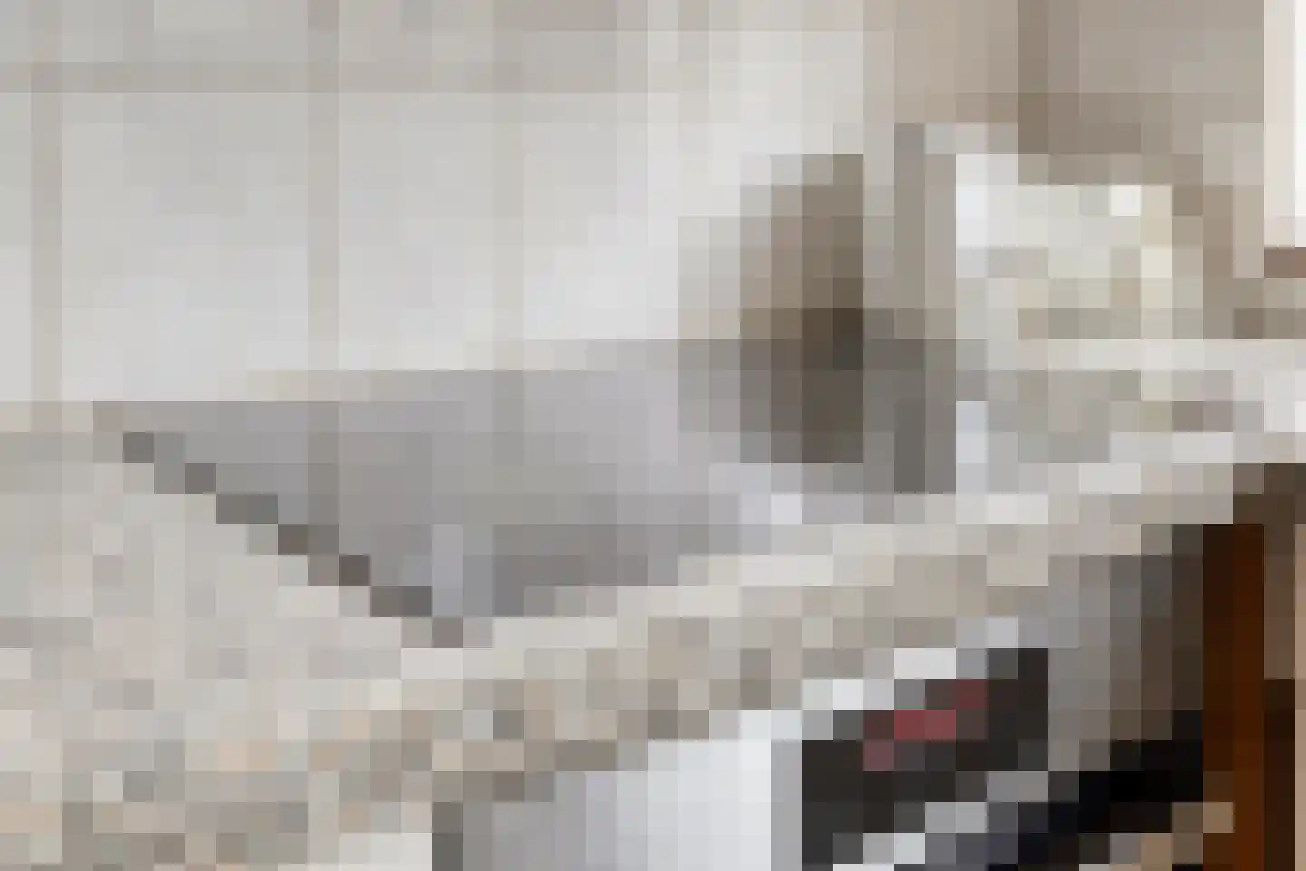 Pastoor Thijssenlaan 8 a Sterksel thumbnail 19