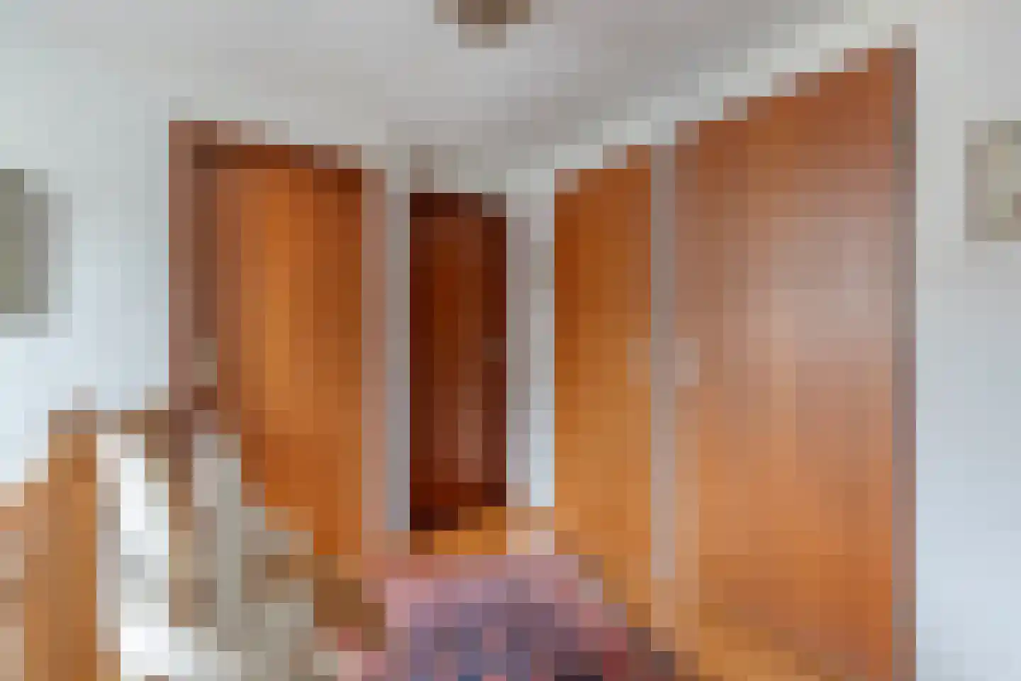 Pastoor Thijssenlaan 8 a Sterksel thumbnail 26