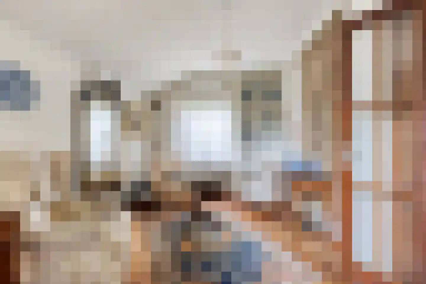 Pastoor Thijssenlaan 8 a Sterksel thumbnail 26