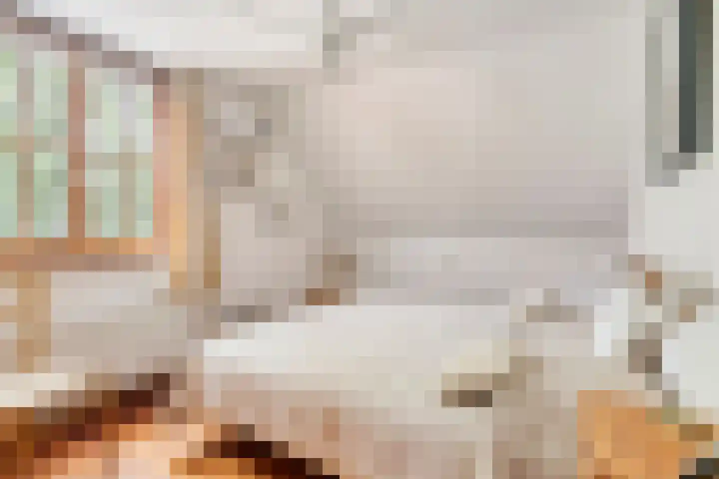 Pastoor Thijssenlaan 8 a Sterksel thumbnail 33