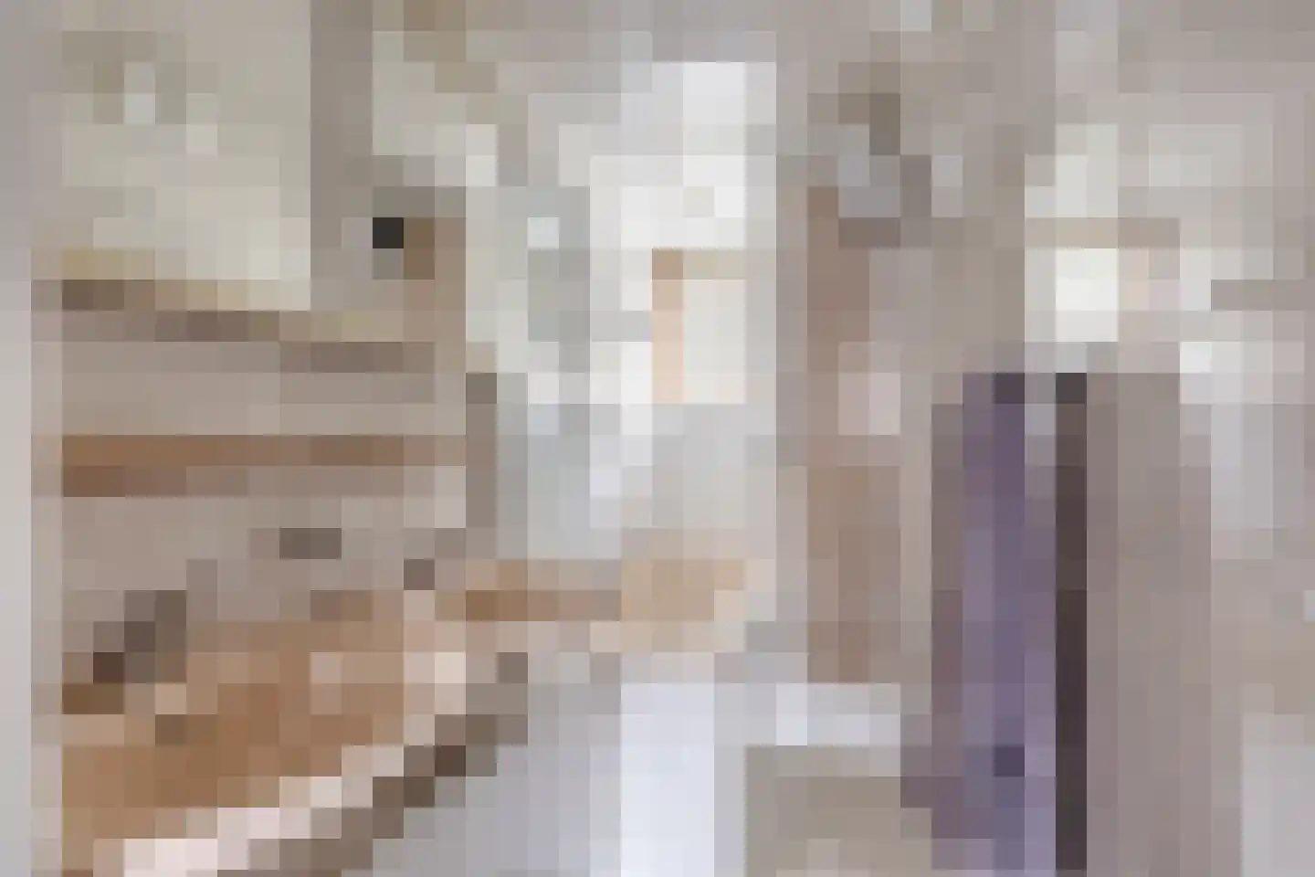 Pastoor Thijssenlaan 8 a Sterksel thumbnail 35