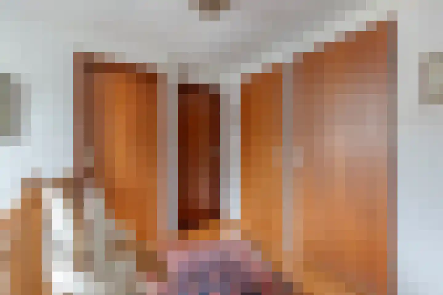 Pastoor Thijssenlaan 8 a Sterksel thumbnail 36