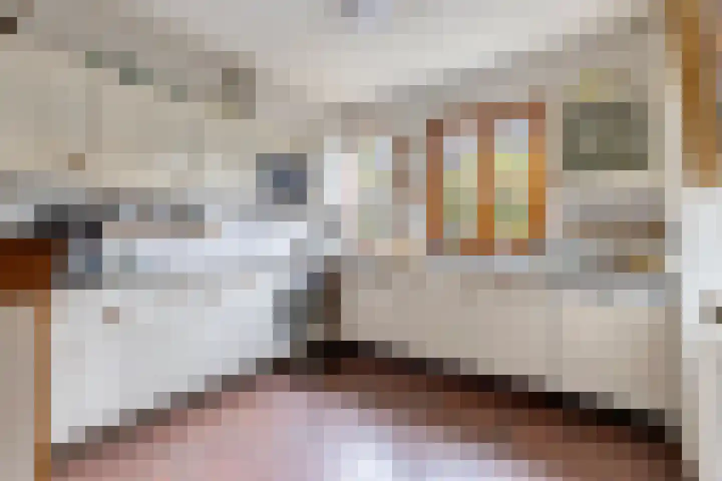 Pastoor Thijssenlaan 8 a Sterksel thumbnail 4