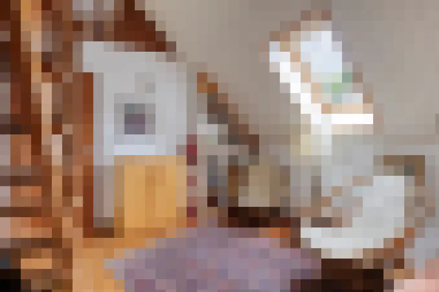 Pastoor Thijssenlaan 8 a Sterksel thumbnail 41
