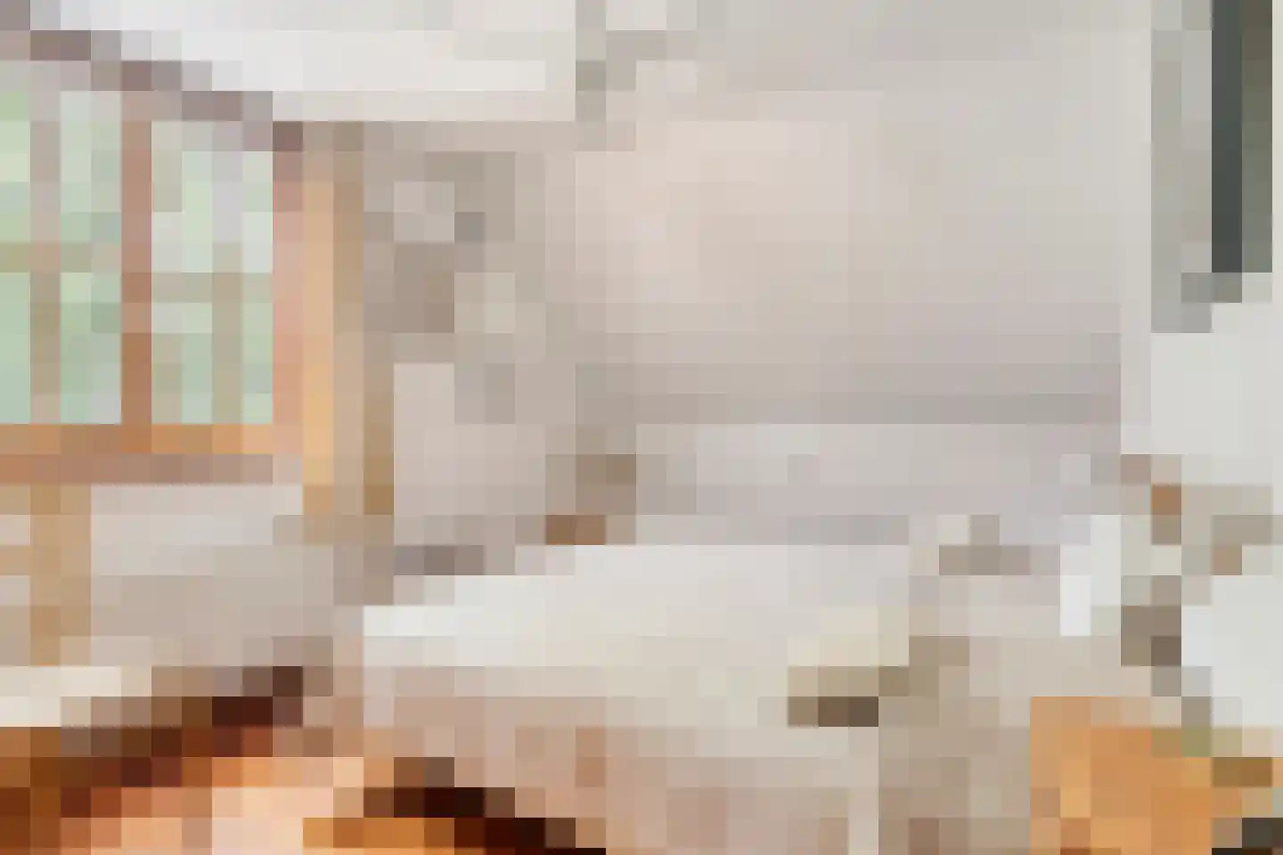Pastoor Thijssenlaan 8 a Sterksel thumbnail 43