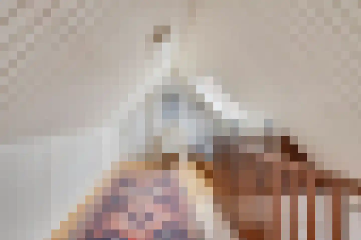 Pastoor Thijssenlaan 8 a Sterksel thumbnail 46