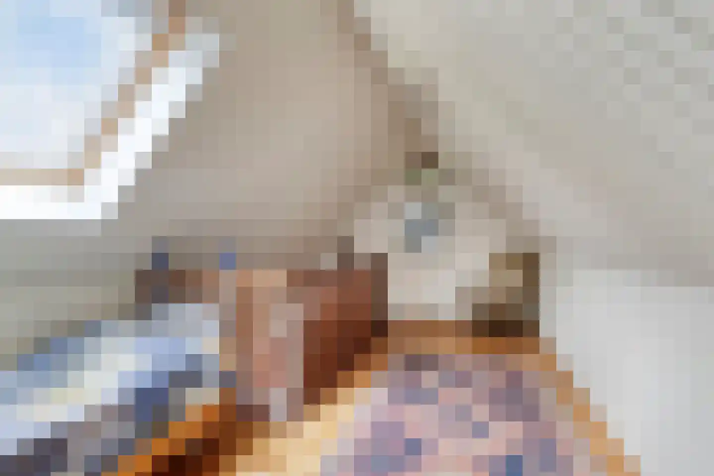 Pastoor Thijssenlaan 8 a Sterksel thumbnail 47