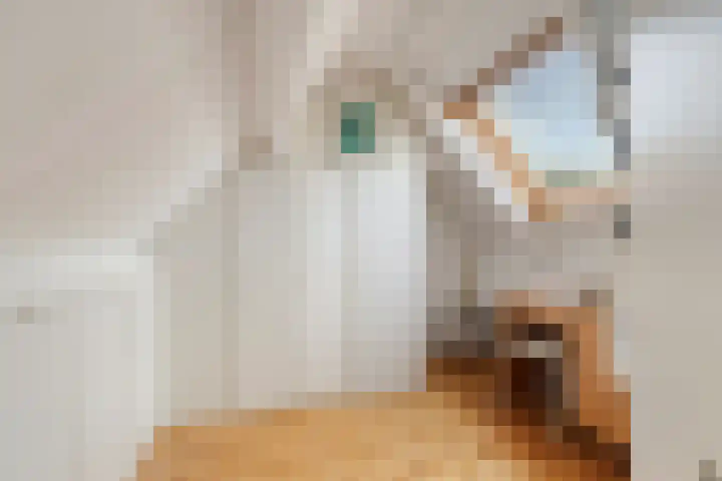 Pastoor Thijssenlaan 8 a Sterksel thumbnail 48