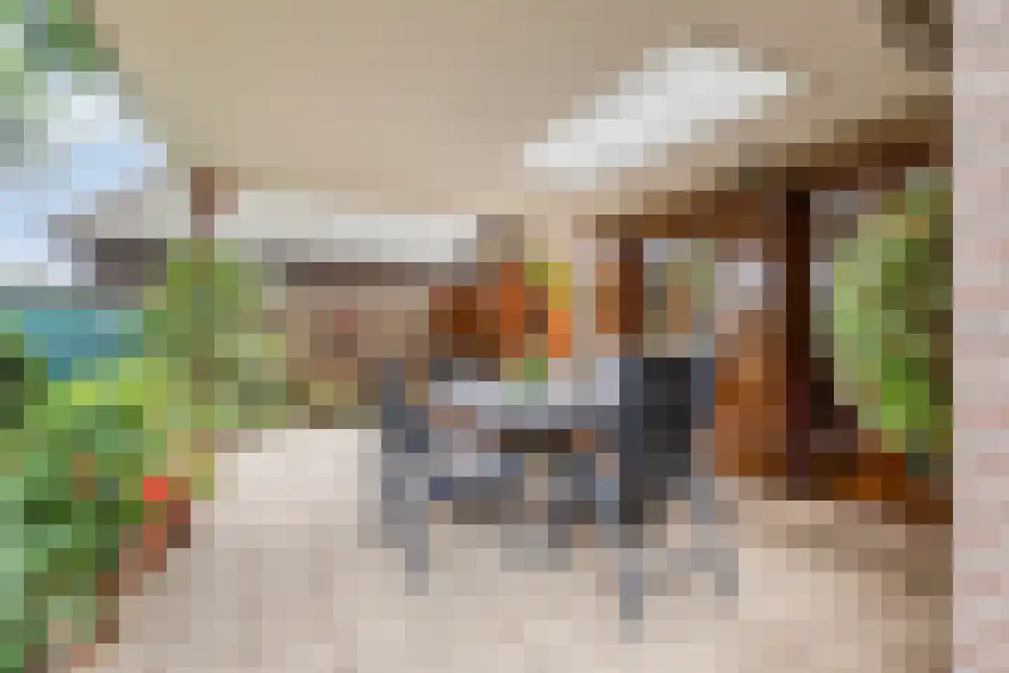Pastoor Thijssenlaan 8 a Sterksel thumbnail 49