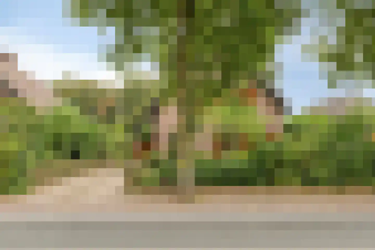 Pastoor Thijssenlaan 8 a Sterksel thumbnail 5
