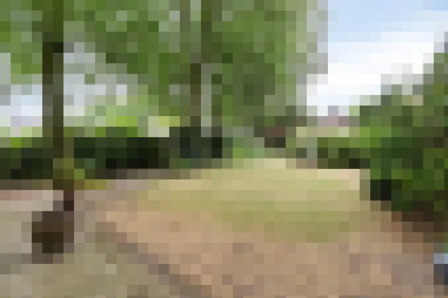 Pastoor Thijssenlaan 8 a Sterksel thumbnail 5