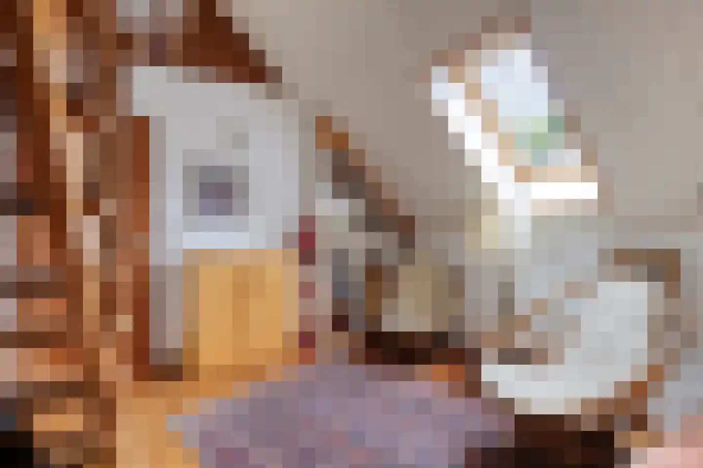 Pastoor Thijssenlaan 8 a Sterksel thumbnail 51