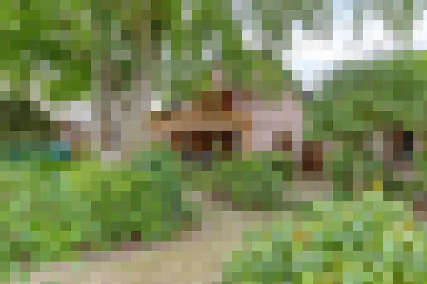 Pastoor Thijssenlaan 8 a Sterksel thumbnail 51