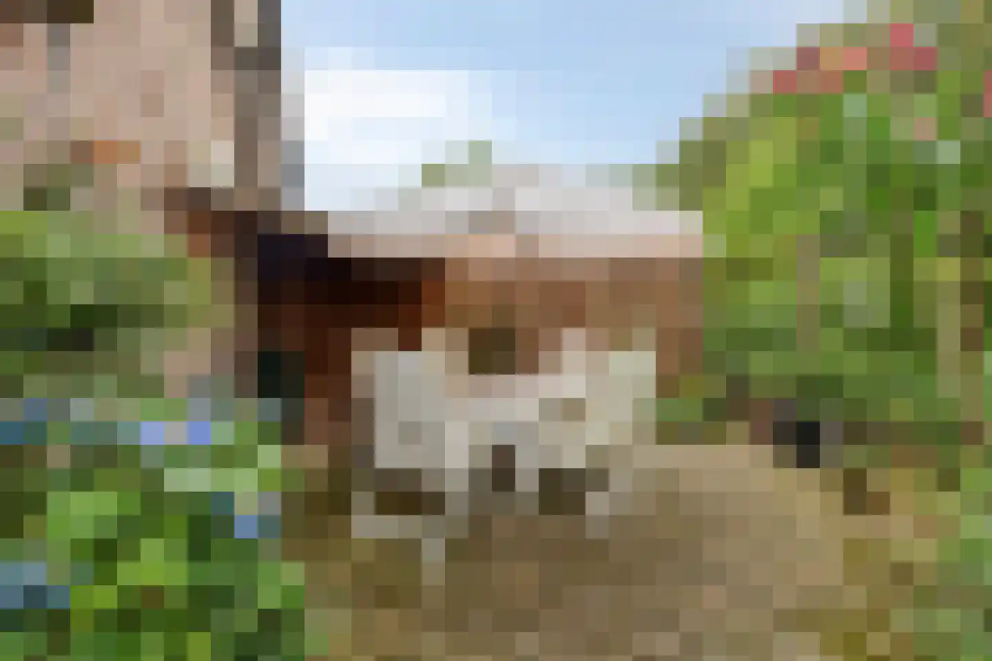 Pastoor Thijssenlaan 8 a Sterksel thumbnail 52