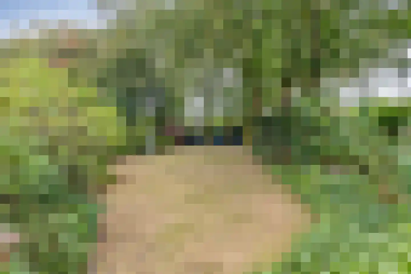 Pastoor Thijssenlaan 8 a Sterksel thumbnail 53